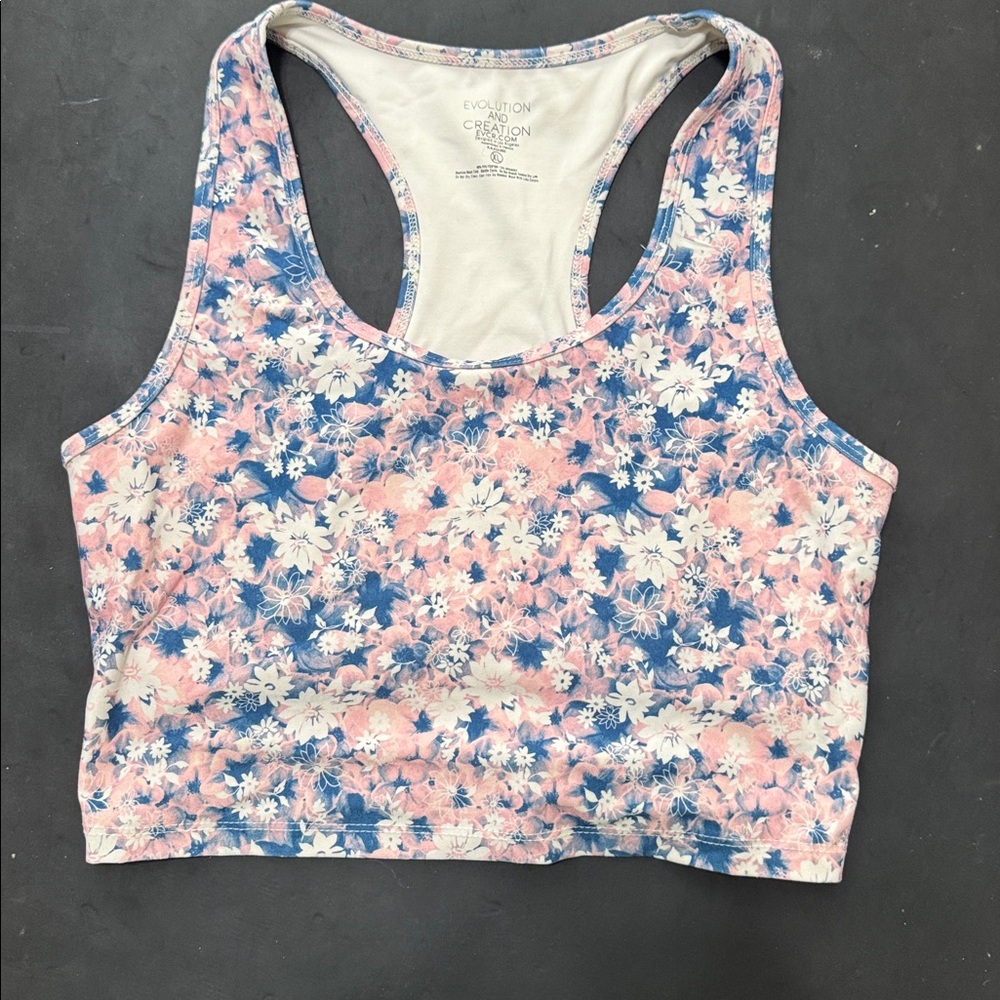 Evolution and Creation Pink and Blue Racerback Crop Top